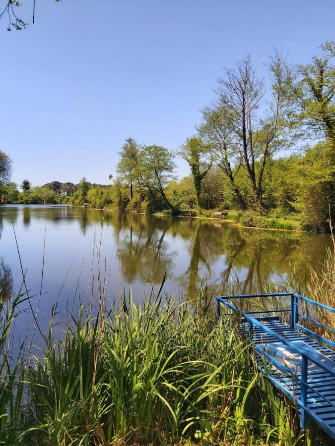 Geo Palace Kolkheti National Park Pʼotʼi Zewnętrze zdjęcie