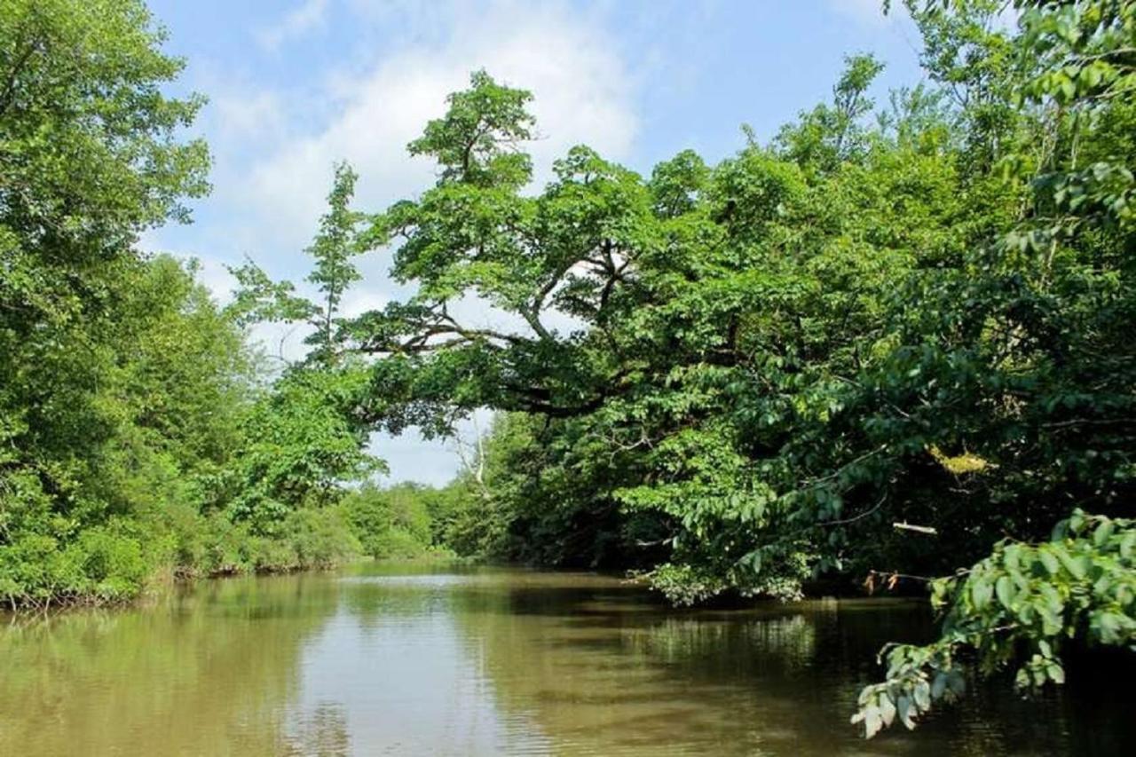 Geo Palace Kolkheti National Park Pʼotʼi Zewnętrze zdjęcie