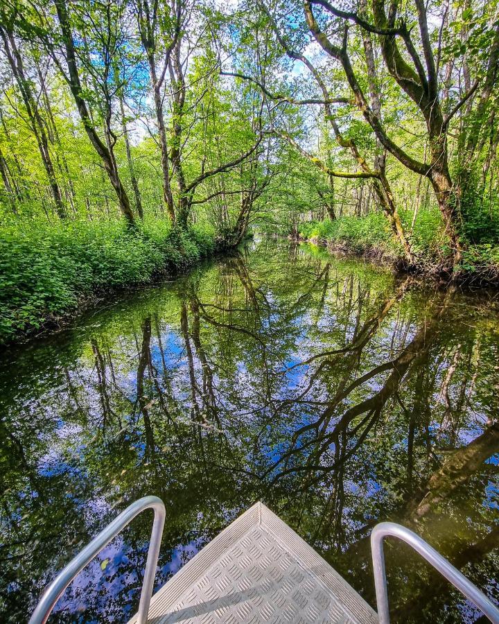 Geo Palace Kolkheti National Park Pʼotʼi Zewnętrze zdjęcie